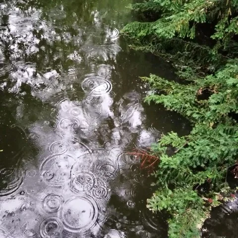 Water drops Stock Footage 144704211