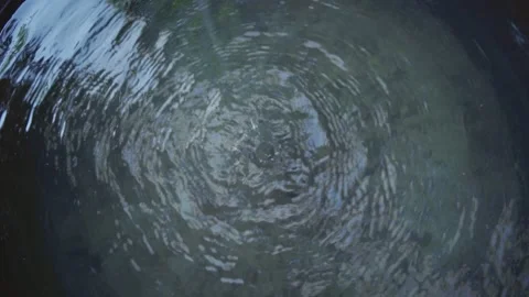 Water drops Stock Footage 146307984