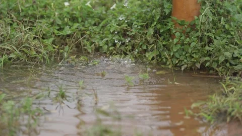 Water Drops Video stock 177028606