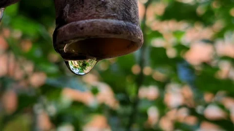 Water drops Stock Footage 250411272