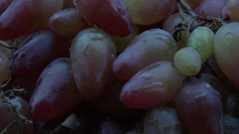 Water drops on grapes Stock Footage 81655498