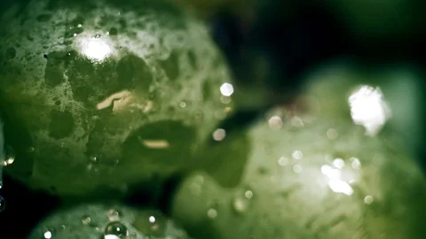 Water drops. grapes green. background Stock Footage 103428587