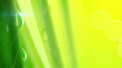 Water drops on grass extremely close-up loop Stock Footage 23612805