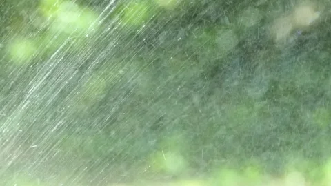 Water drops on grass with rainbow Stock-Footage 250178802