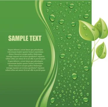 Water drops on green background with fresh leaf Stock Illustration