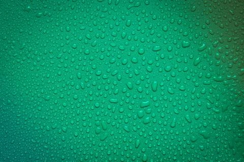 Water Drops On Green Background. Stock Photos