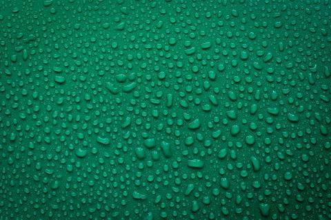 Water Drops On Green Background. Foto stock
