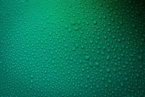 Water Drops On Green Background. Foto stock