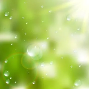 Water drops on green background. plus EPS10 Stock Illustration