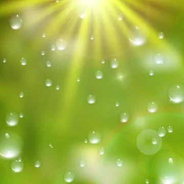 Water drops on green background. plus EPS10 Illustrazione stock