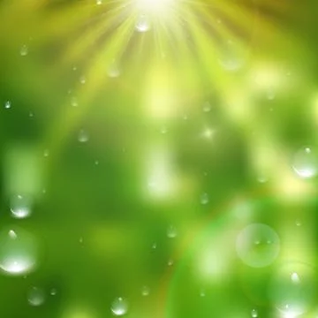 Water drops on green background. plus EPS10 Stock Illustration