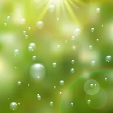 Water drops on green background. plus EPS10 Illustrazione stock