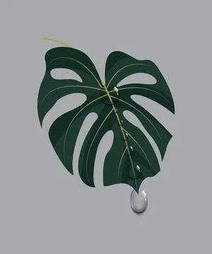Water drops on green leaf background. Stock Illustration