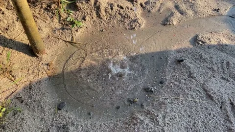 Water drops on the ground Stock Footage 199936897