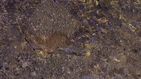 Water drops on the ground Stock Footage 240392028