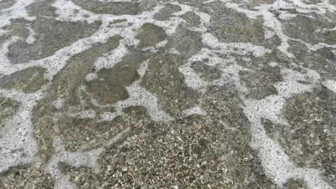 Water drops on the ground, waves Video stock 203729184