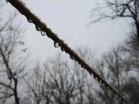 Water drops hanging on a thread - gocce d'acqua appese a un filo Stockfoto's