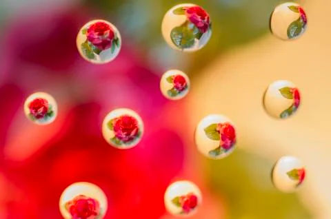 Water drops Stock Illustration