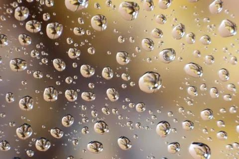 Water drops with leaf Stock Photos