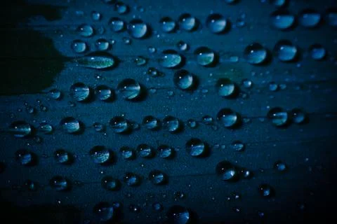 Water drops on a leaf Stock Photos