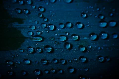 Water drops on a leaf Foto stock