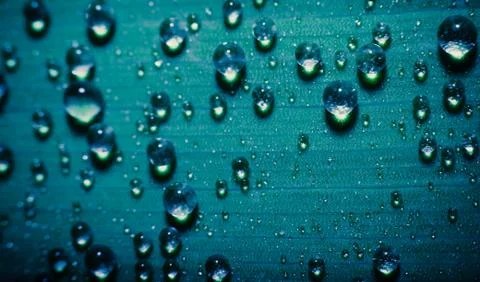 Water drops on a leaf Foto stock