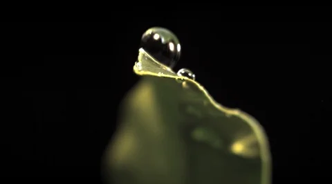 Water drops on leaf. Ultra slow motion hispeed 5000fps Video stock 93244161