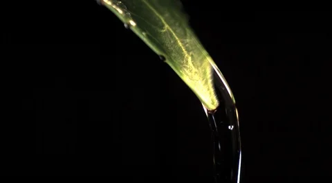 Water drops on leaf. Ultra slow motion hispeed 5000fps Video stock 93245960