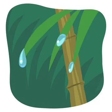 Water drops on leaves Stock Illustration