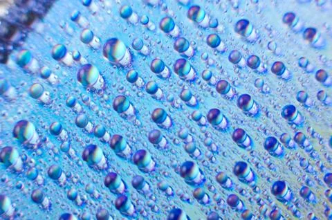 Water drops, macro Stock Photos