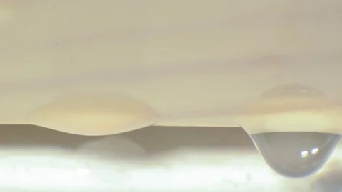 Water drops macro view Stock Footage 98545691