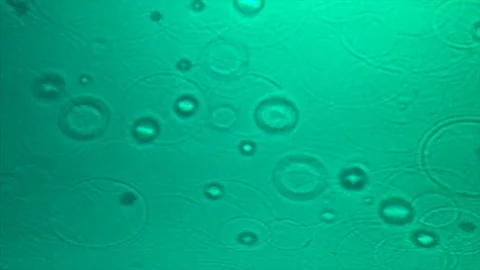 Water Drops Make Abstract Circular Background Pattern on Water Surface 库存影片 122531504