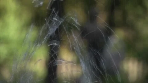 Water drops on the park Video stock 240460150