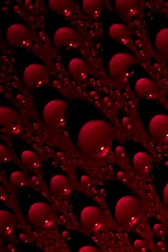 Water drops Foto stock