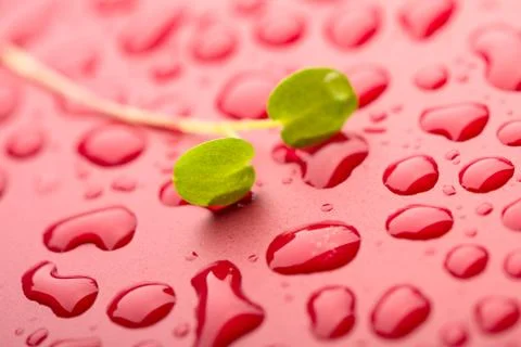 Water drops Foto stock