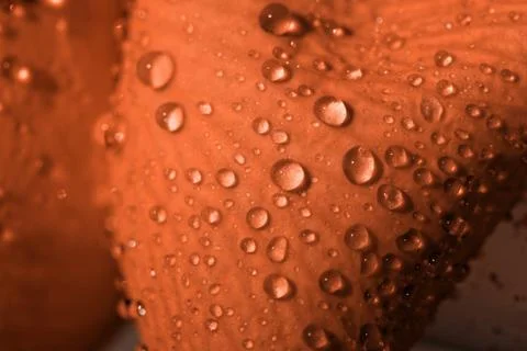 Water drops Foto stock