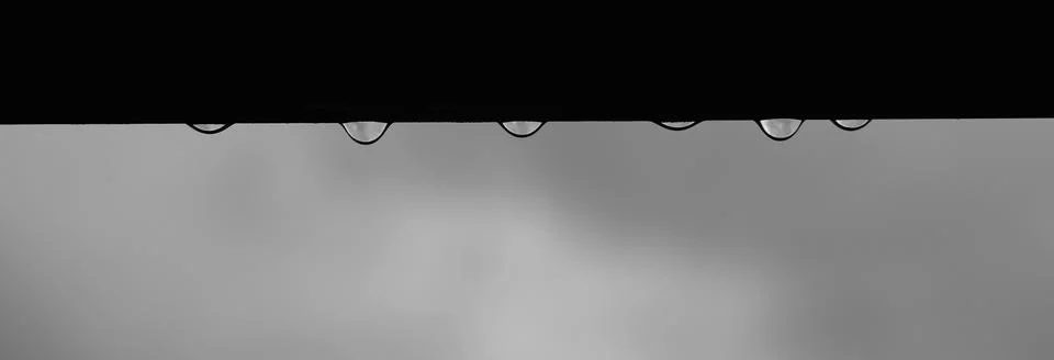 Water drops Stock Photos