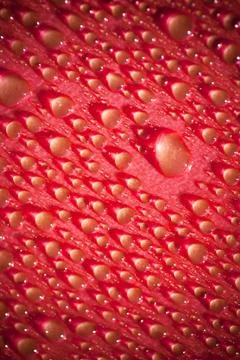 Water drops 스톡 사진