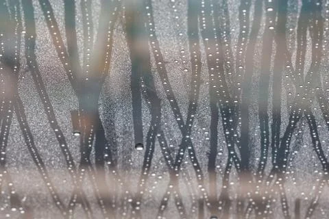 Water drops Stock Photos