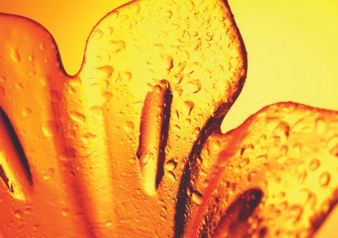 Water Drops Stock Photos