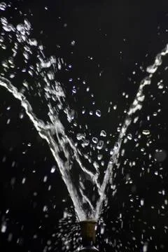 Water Drops Stock Photos