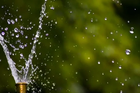 Water Drops 스톡 사진