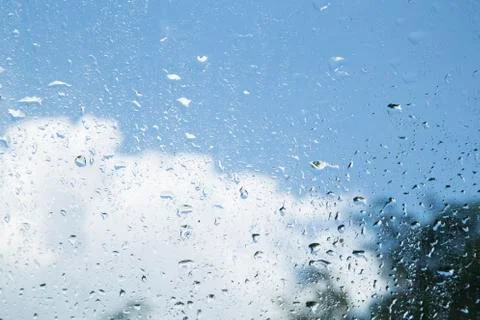 Water drops Фото