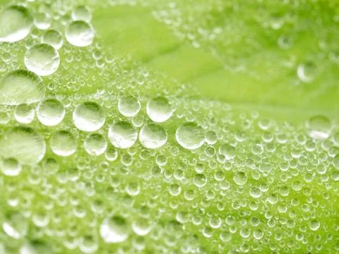 Water drops Stock Photos