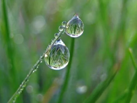Water drops Stock Photos
