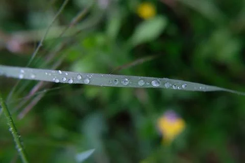 Water drops Stock-Fotos