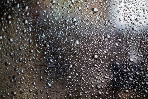 Water drops Fotos Stock
