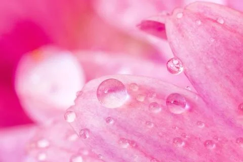 Water drops. Stock Photos