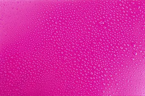 Water Drops Pink Background with small droplets. Fotos de archivo