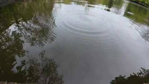 Water drops on pond. 스톡 동영상 274061892